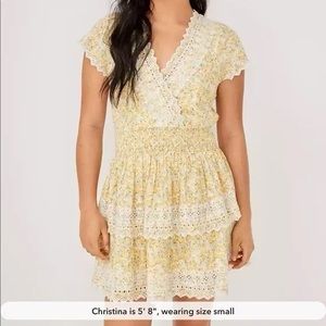 American Eagle Garden Party Wrap Dress